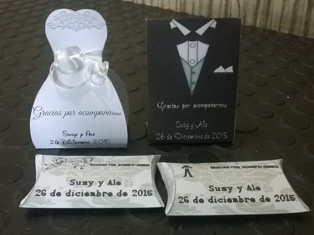 La boda de Ale y Susy en Azcapotzalco, Ciudad de México 13