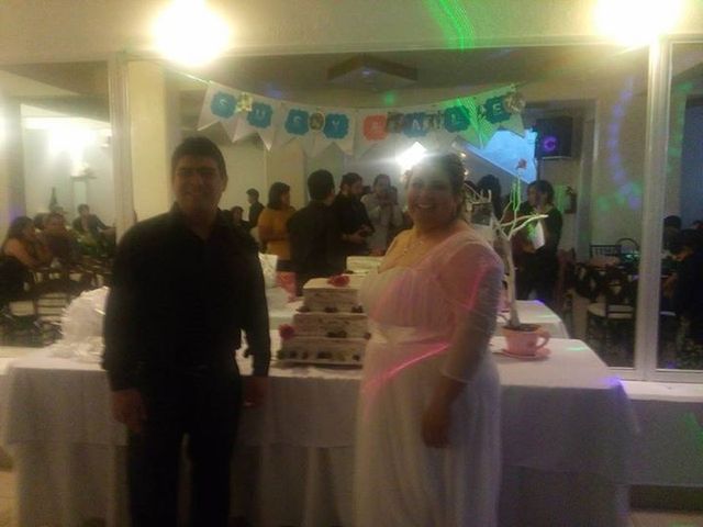 La boda de Ale y Susy en Azcapotzalco, Ciudad de México 15