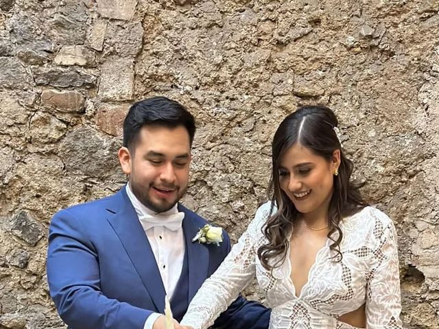La boda de Bertha y Alejandro en Puebla, Puebla 6