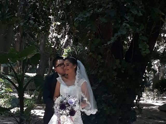 La boda de Miguel y Circe en Iztapalapa, Ciudad de México 6