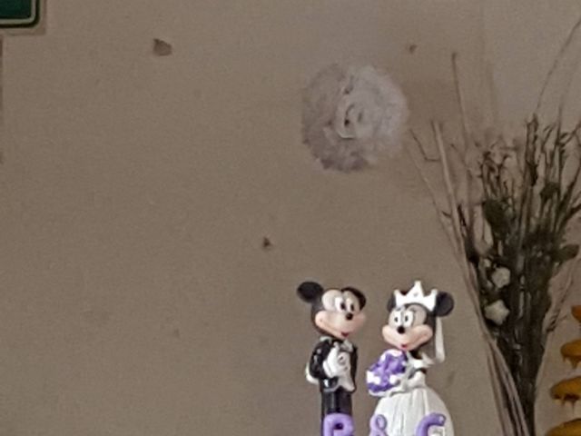 La boda de Carlos y Paola en Gustavo A. Madero, Ciudad de México 7