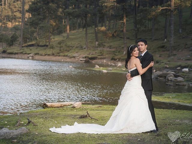 La boda de Marco Antonio y Ana Cecilia en Tlajomulco de Zúñiga, Jalisco 2