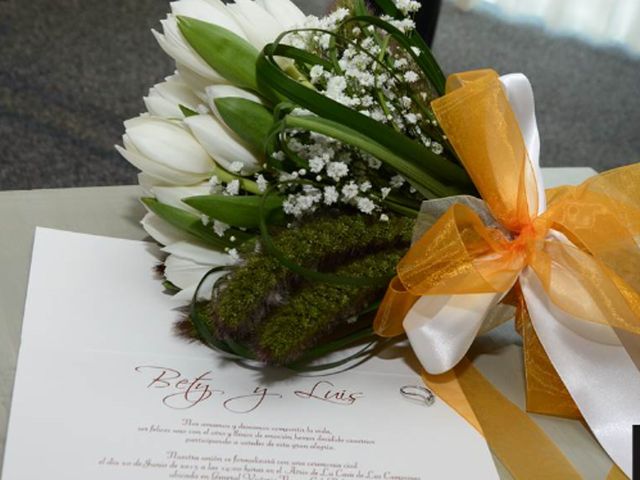 La boda de Luis y Bety  en Tlalpan, Ciudad de México 4