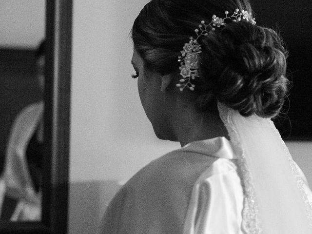 La boda de Mario y Ilse en Bahía de Banderas, Nayarit 2
