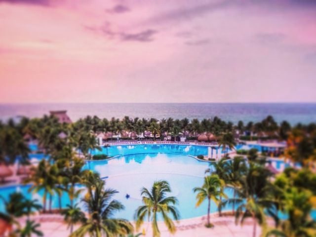 La boda de Carlos y Zynthia en Cancún, Quintana Roo 25
