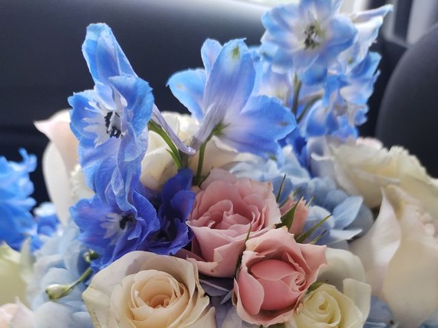 La boda de Alberto y Karina en Delicias, Chihuahua 3