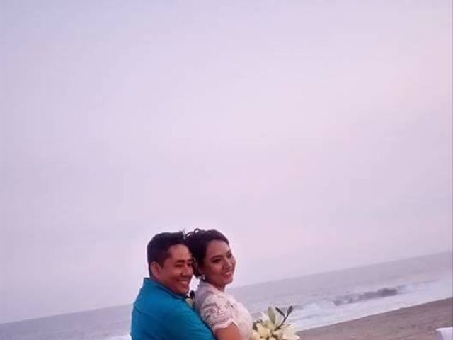 La boda de Omar y Betty en Coyuca de Benítez, Guerrero 6