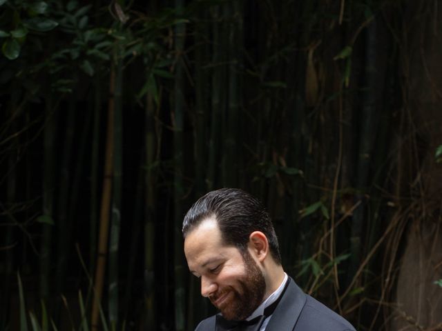 La boda de Alejandro y Amanda en Benito Juárez, Ciudad de México 16