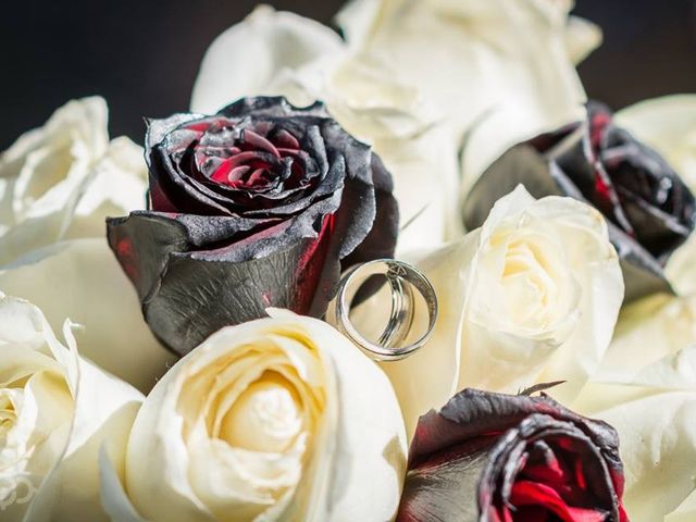 La boda de Alberto Giovani y Mónica Aurora  en Morelia, Michoacán 5