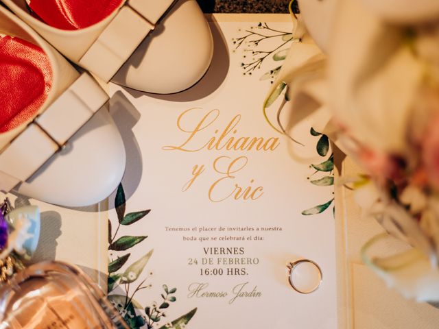 La boda de Eric y Liliana en Tlalnepantla, Estado México 8