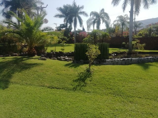 La boda de Efrain  y Gisselle  en Jiutepec, Morelos 3