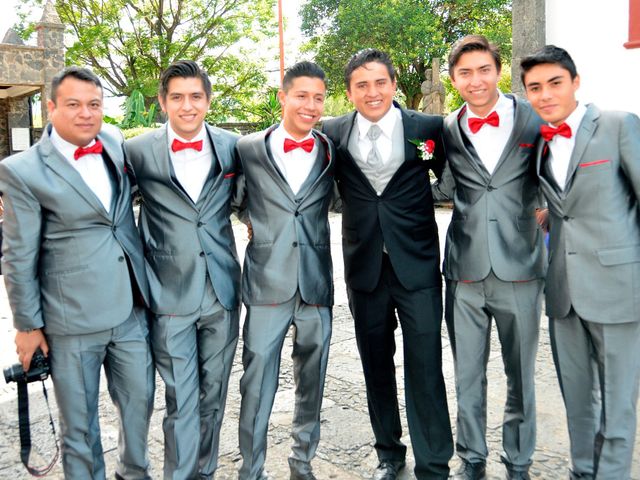 La boda de Javier y Cynthia en Tlalpan, Ciudad de México 10