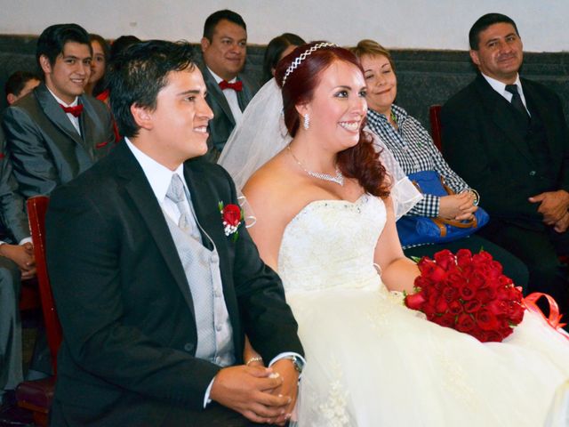 La boda de Javier y Cynthia en Tlalpan, Ciudad de México 29