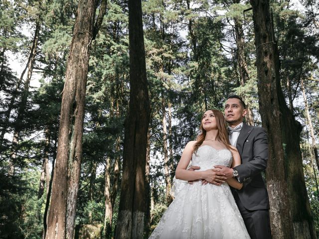 La boda de Juan y Diana en Xochimilco, Ciudad de México 7