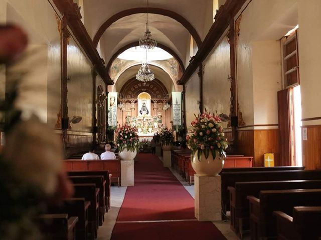 La boda de Luis y Alma  en Ayotlán, Jalisco 4