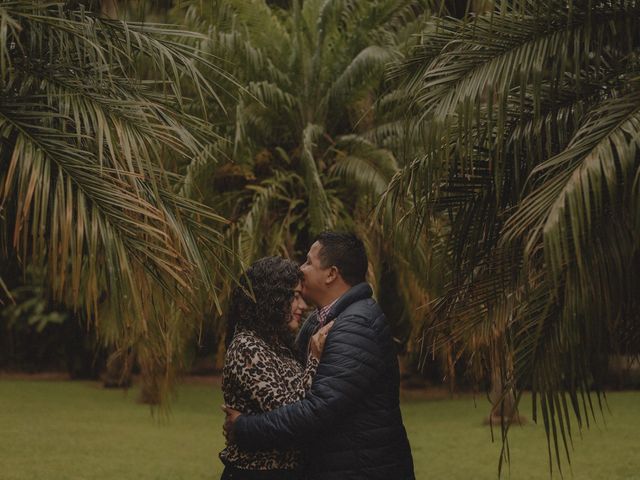La boda de Gregorio y Graciela en Xalapa, Veracruz 9