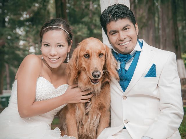 La boda de Arturo y Alicia en Jiutepec, Morelos 56