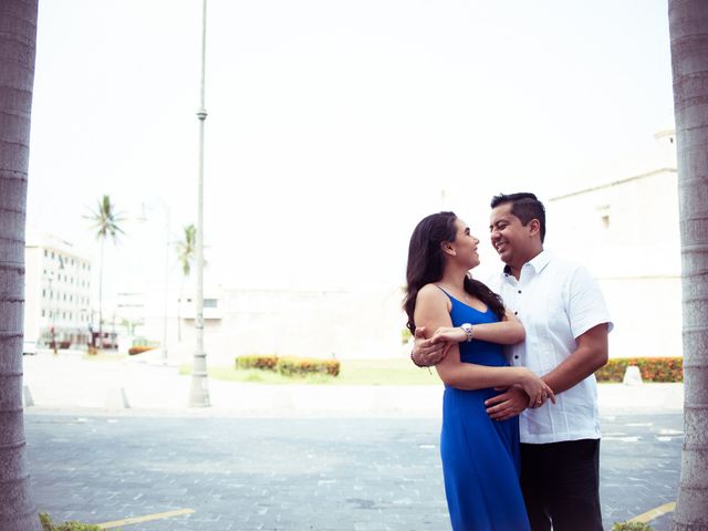 La boda de Ricardo y Elena en Veracruz, Veracruz 14