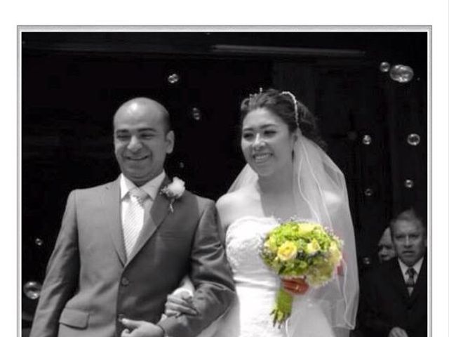 La boda de Erick y Diana en Nogales, Veracruz 10