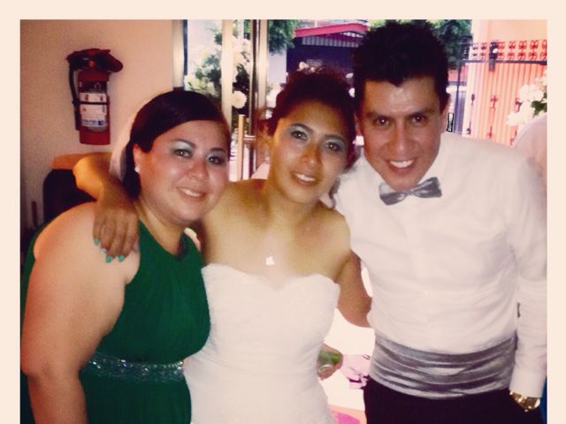 La boda de Erick y Diana en Nogales, Veracruz 15