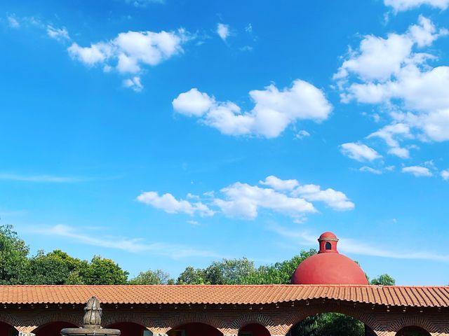 La boda de Ricardo y Montse en Soyaniquilpan de Juárez, Estado México 3