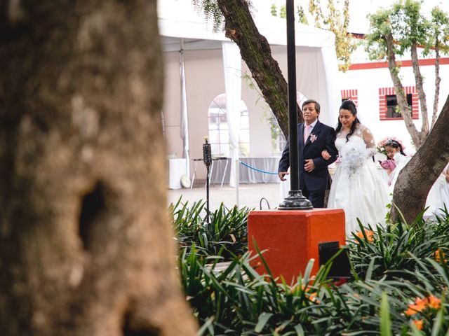 La boda de David y Cintia en Tlalnepantla, Estado México 19