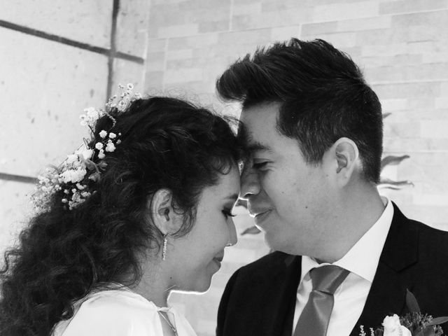 La boda de Daniel y Pamela en Tlalnepantla, Estado México 13