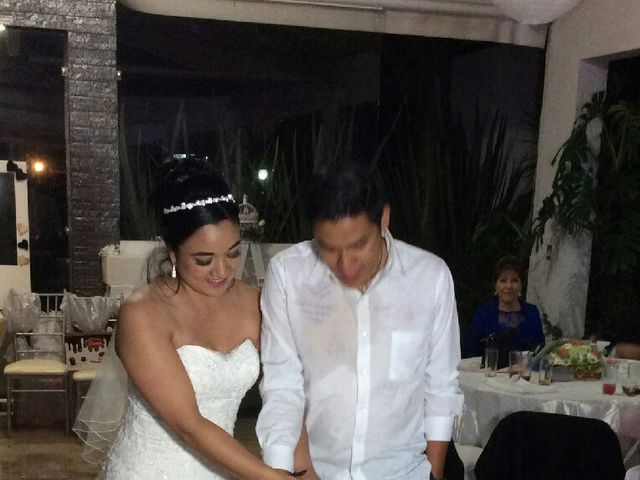 La boda de Alfonso  y Janette en Cuautitlán Izcalli, Estado México 4