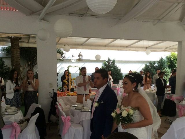 La boda de Alfonso  y Janette en Cuautitlán Izcalli, Estado México 9