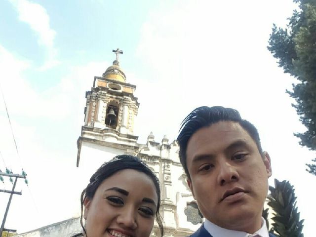 La boda de Alfonso  y Janette en Cuautitlán Izcalli, Estado México 17