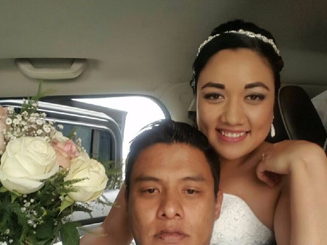 La boda de Alfonso  y Janette en Cuautitlán Izcalli, Estado México 20