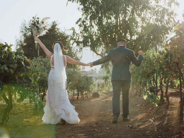 La boda de Christian y Wendy en Tijuana, Baja California 36