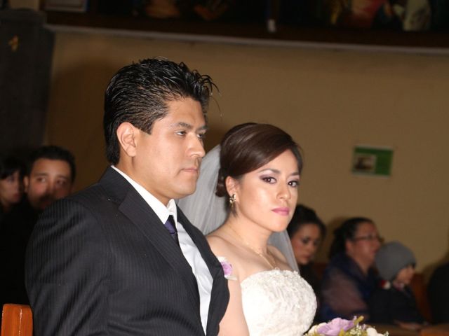 La boda de Daniel y Janine en Naucalpan, Estado México 11