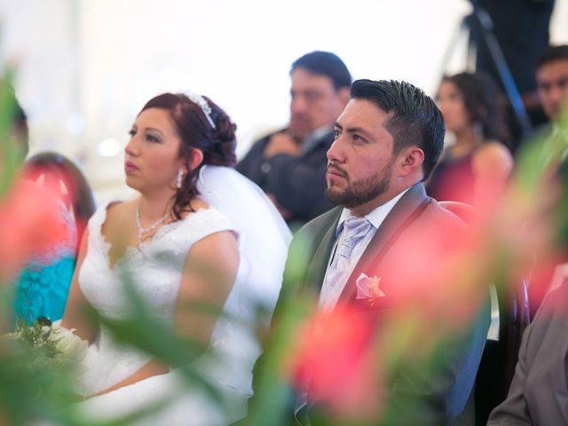 La boda de Hugo y Alejandra en Xochimilco, Ciudad de México 7