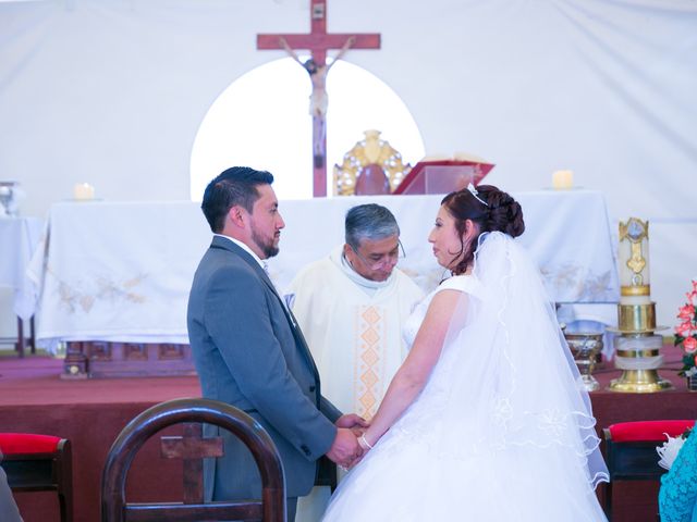 La boda de Hugo y Alejandra en Xochimilco, Ciudad de México 10