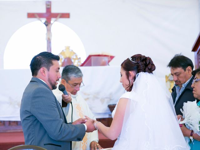 La boda de Hugo y Alejandra en Xochimilco, Ciudad de México 11