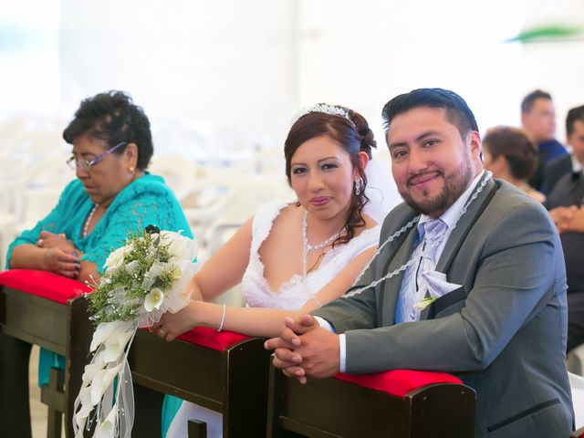 La boda de Hugo y Alejandra en Xochimilco, Ciudad de México 14