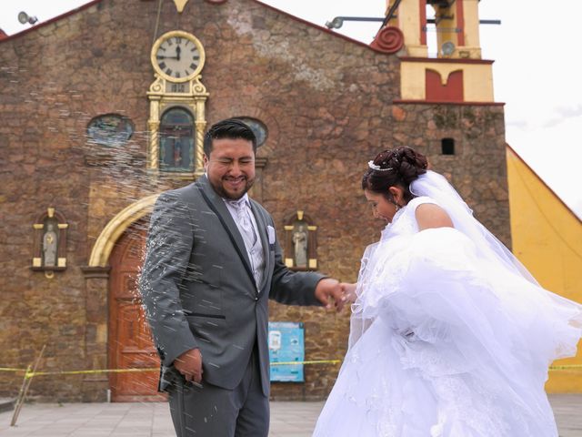 La boda de Hugo y Alejandra en Xochimilco, Ciudad de México 16