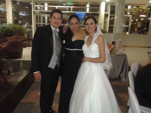 La boda de Ricardo y Astrid en Irapuato, Guanajuato 10