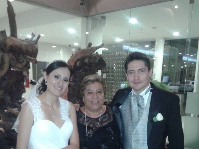 La boda de Ricardo y Astrid en Irapuato, Guanajuato 19