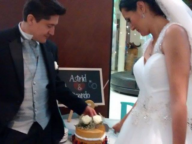 La boda de Ricardo y Astrid en Irapuato, Guanajuato 30