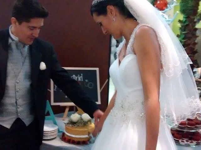 La boda de Ricardo y Astrid en Irapuato, Guanajuato 35