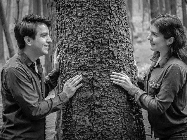 La boda de Sergio y Carla en Santa Fe, Ciudad de México 21