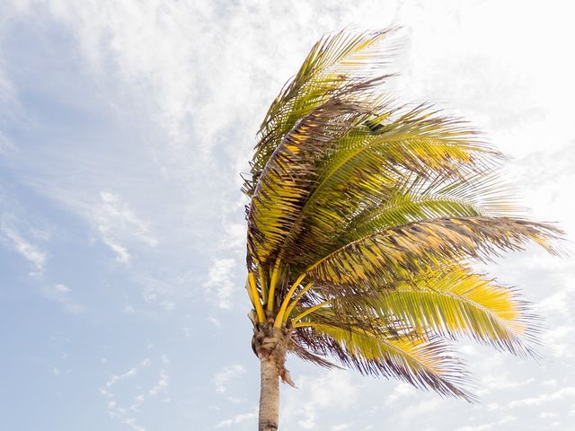 La boda de Jorge y Andrea en Playa del Carmen, Quintana Roo 35