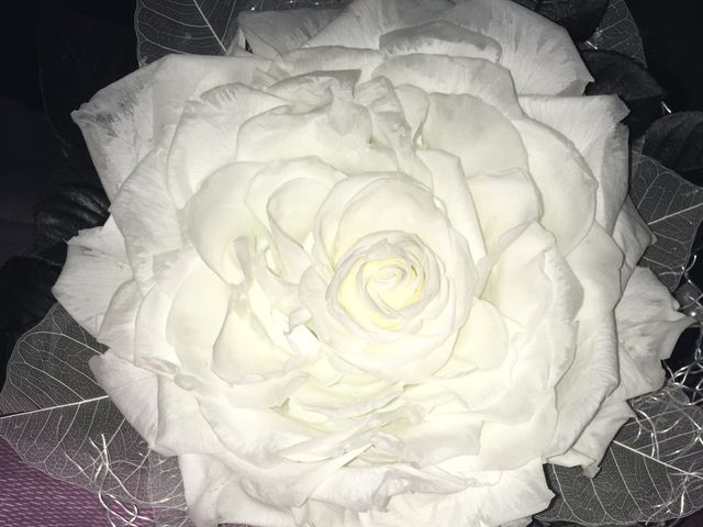 La boda de Manuel y Adilene en Tepotzotlán, Estado México 77