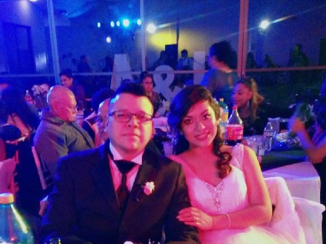 La boda de Luis Enrique  y Alejandra  en Xochimilco, Ciudad de México 3