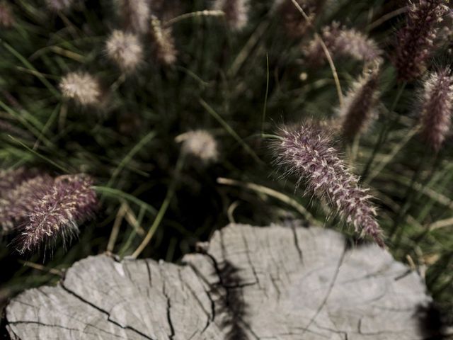 La boda de Luis y Daniela en Atizapán de Zaragoza, Estado México 45