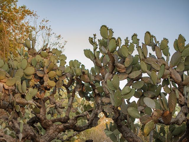 La boda de Luis y Yadhira en Soyaniquilpan de Juárez, Estado México 56