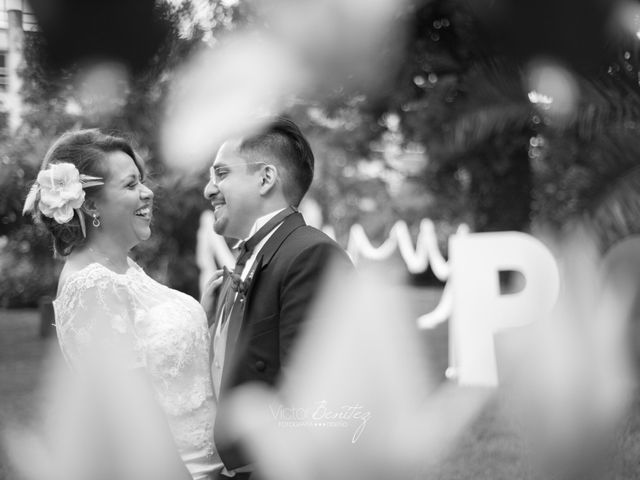 La boda de Paris y Haydeé en Tlalpan, Ciudad de México 7