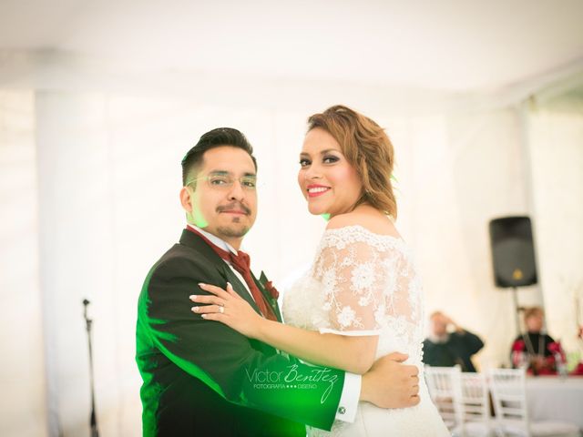 La boda de Paris y Haydeé en Tlalpan, Ciudad de México 10